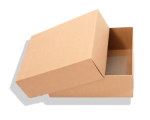 carton box with lid and base